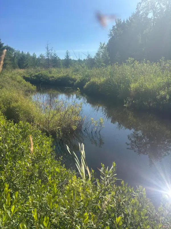 Map5/Lot53 Bangor Road, Troy, ME 04987