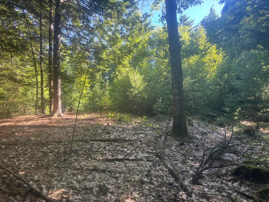 Map5/Lot53 Bangor Road, Troy, ME 04987 - #2