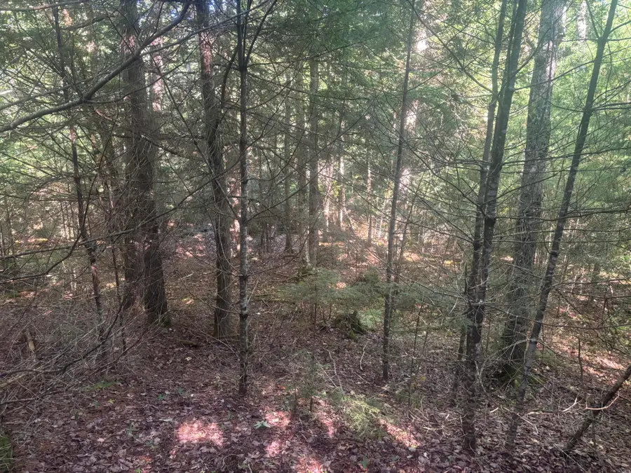 Map5/Lot53 Bangor Road, Troy, ME 04987 - #3