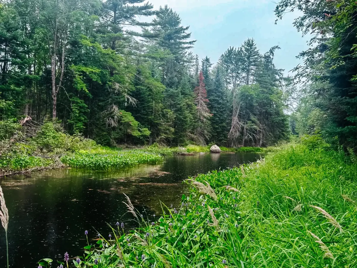 2539 Edinburg Road, Argyle, ME 04468 - #1