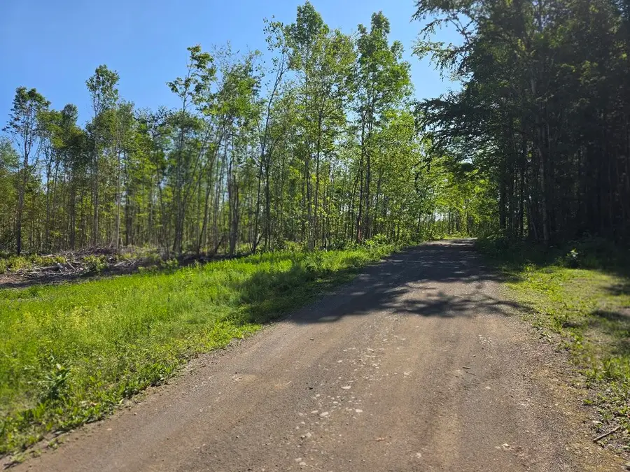 Lot 26E Williams Road, Amity, ME 04471 - #2