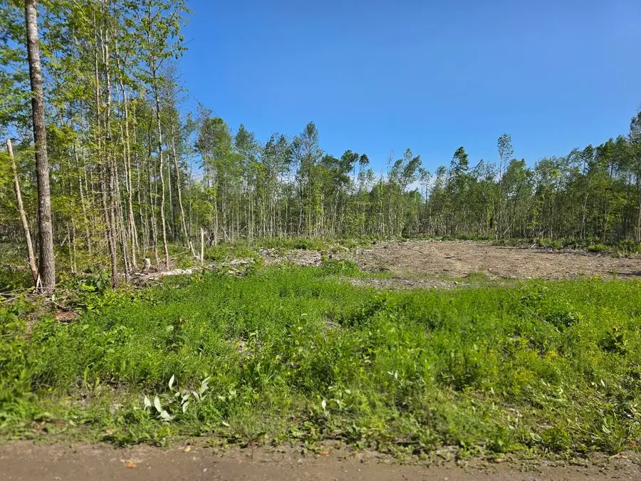Lot 26E Williams Road, Amity, ME 04471 - #3