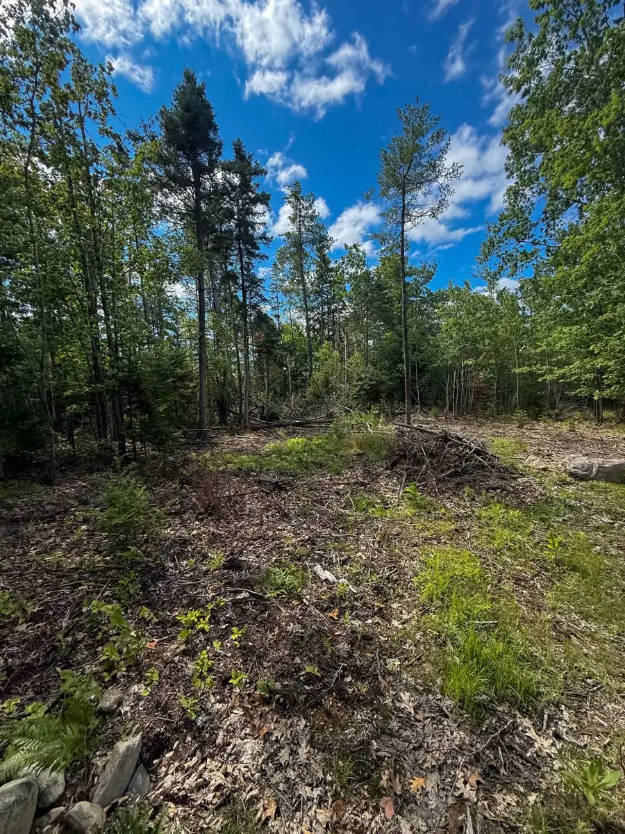 Lot #10 Russell Hill Road, Bucksport, ME 04416 - #2