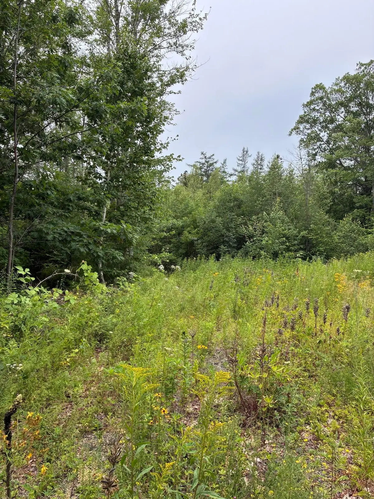 Lot 10 White Deer Circle, Bar Harbor, ME 04609 - #1