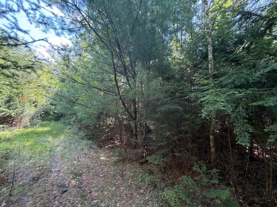 M5L18&18-1 Clark Road, Burlington, ME 04417 - #2