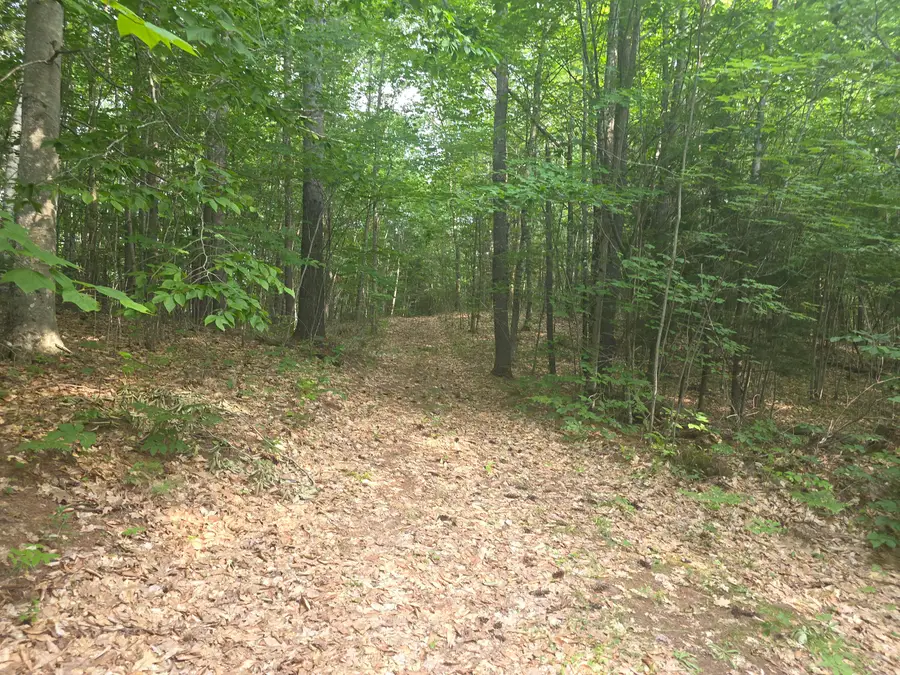 Lot 1-1A Madison Road, Norridgewock, ME 04957 - #2