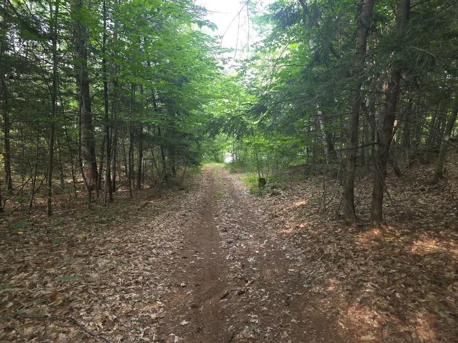 Lot 1-1A Madison Road, Norridgewock, ME 04957 - #3
