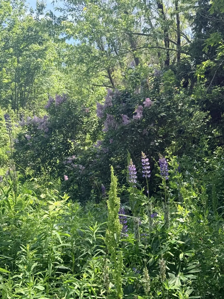 1769 Washington Road, Waldoboro, ME 04572 - #2