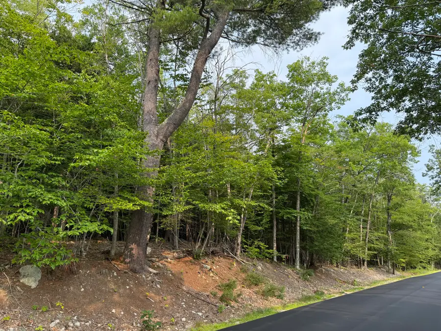 Lot 15-3B Sweden Road, Bridgton, ME 04009 - #2
