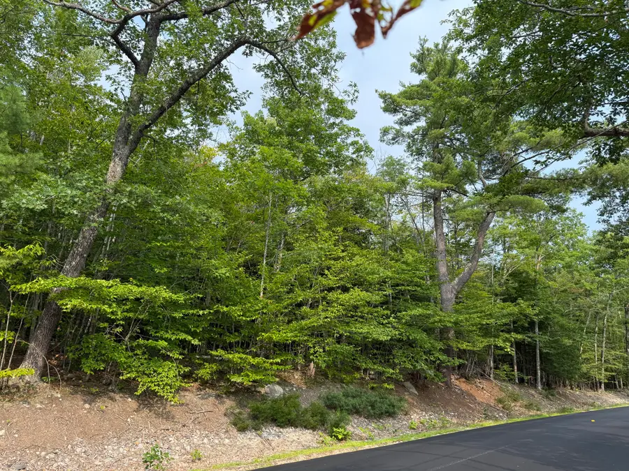 Lot 15-3B Sweden Road, Bridgton, ME 04009 - #3