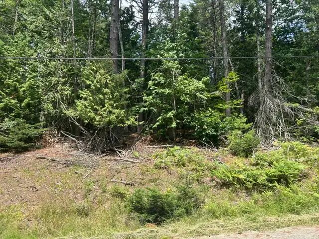 M13L65 Holmes Road, Dover Foxcroft, ME 04426 - #2