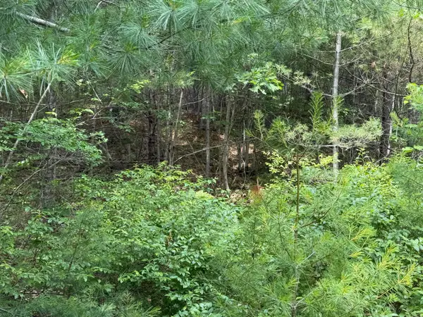 Lot 068011 Shore Road, Bremen, ME 04551