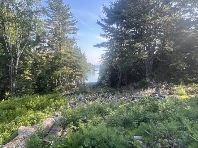 # Bremen Long Island Road, Bremen, ME 04551 - #2