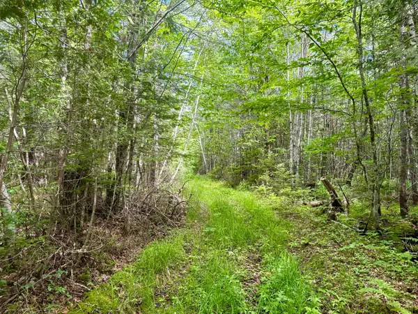 M2L12 Wellington Road, Harmony, ME 04942