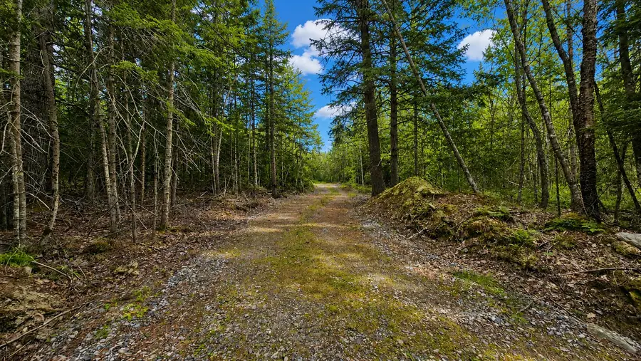 Lot 42 Colby Road, Westport Island, ME 04578 - #3