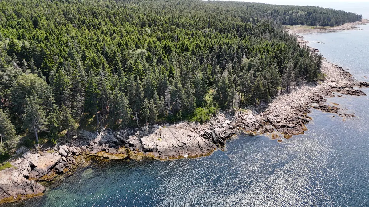 3 Butler Road, Frenchboro, ME 04685 - #1