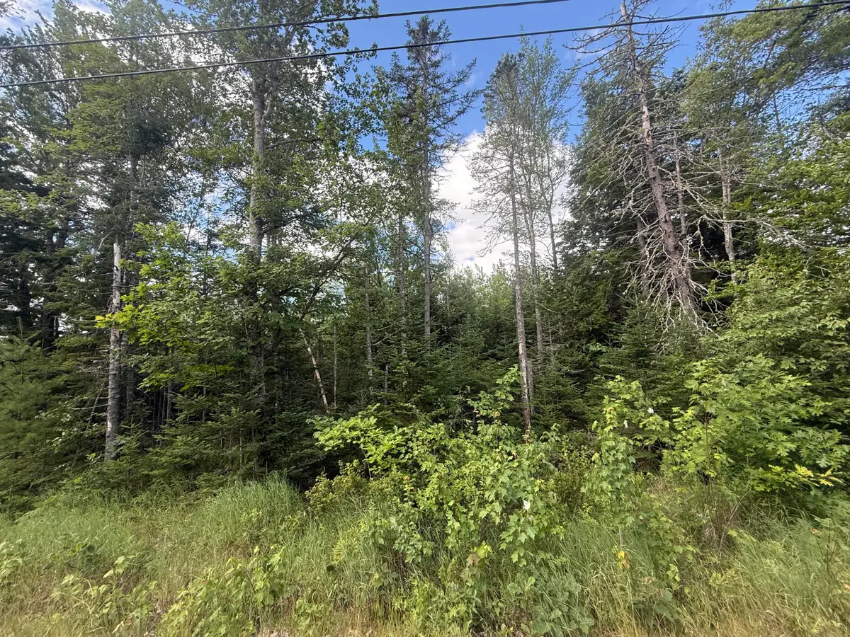 Lot #11 Russell Hill Road, Bucksport, ME 04416 - #1