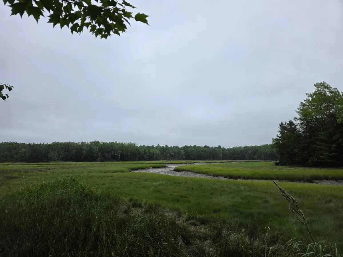 Lot 175 Poplar Lane, Milbridge, ME 04658 - #1