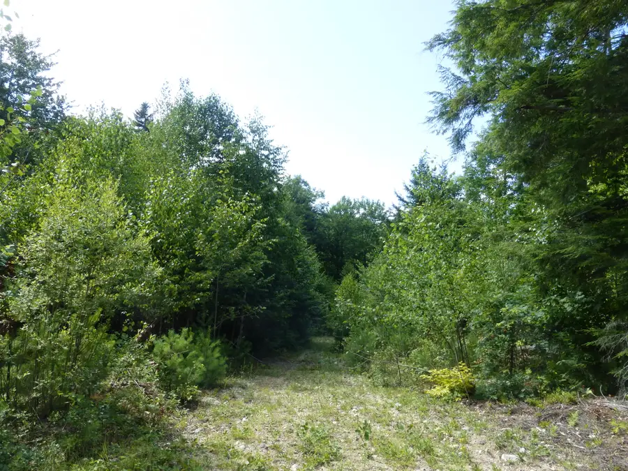 10-000031D Douglas Hill Road, West Baldwin, ME 04024 - #3