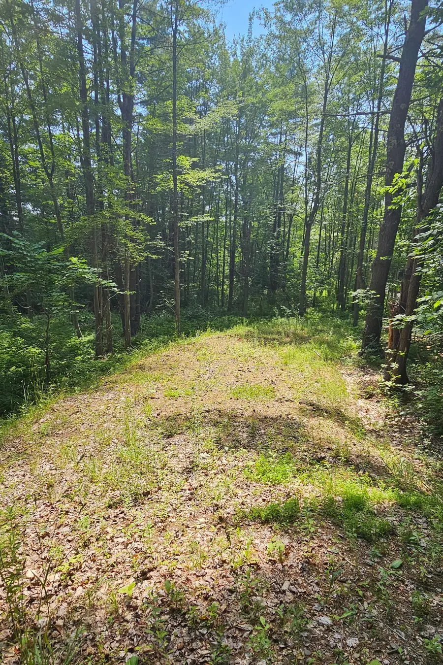296 Libby Hill Road, Gardiner, ME 04345 - #3