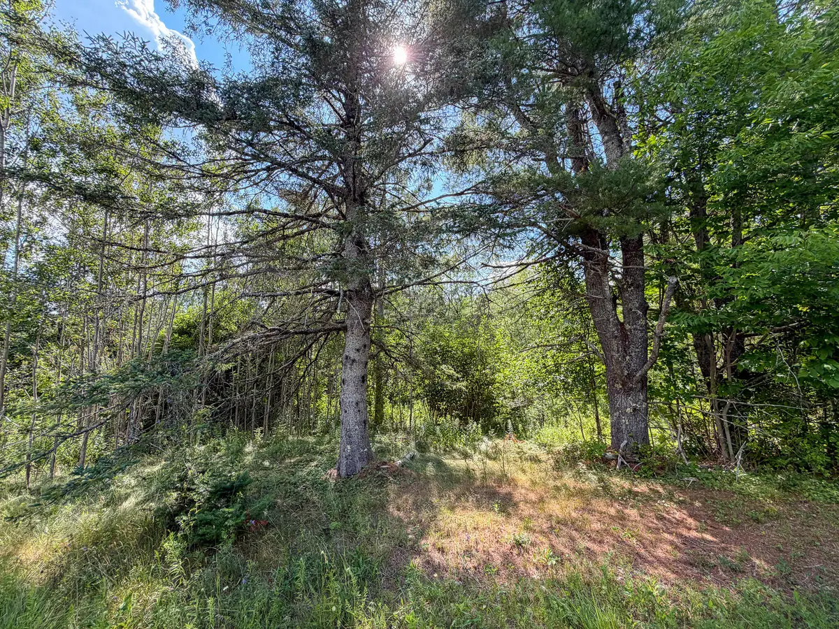 524 Millvale Road, Bucksport, ME 04416 - #1