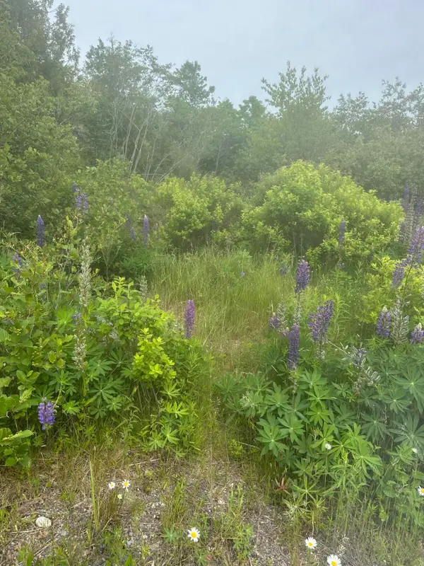 16 Smalls Point Road, Machiasport, ME 04655