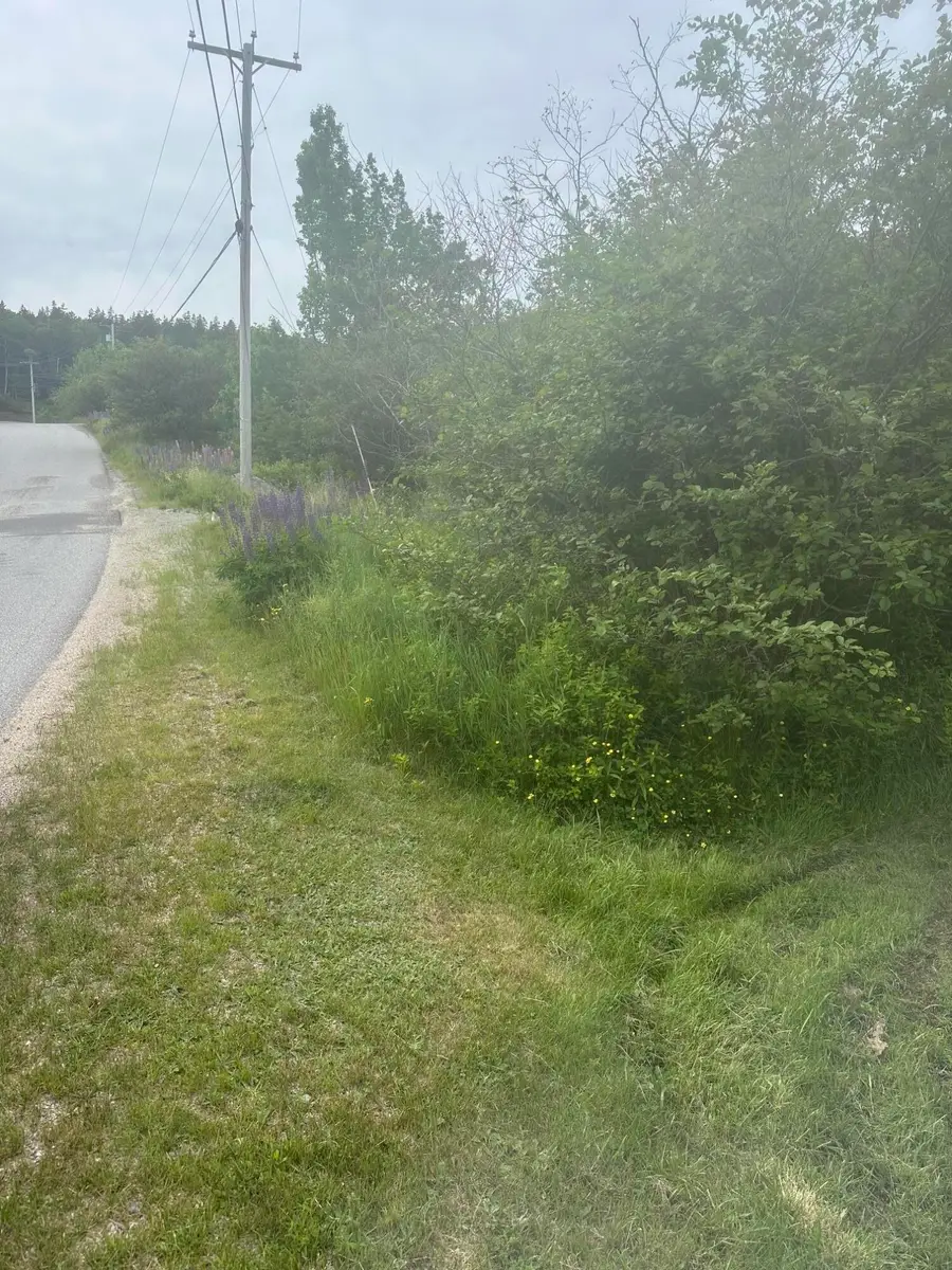 16 Smalls Point Road, Machiasport, ME 04655 - #2