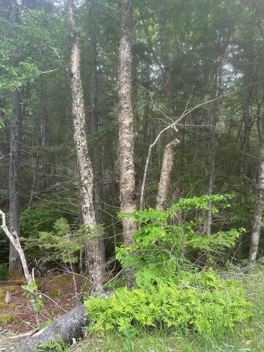 16 Smalls Point Road, Machiasport, ME 04655 - #3