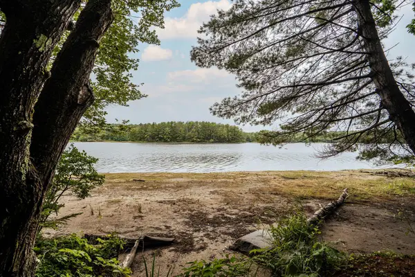 19 Sylvester Estates Drive, Greene, ME 04236