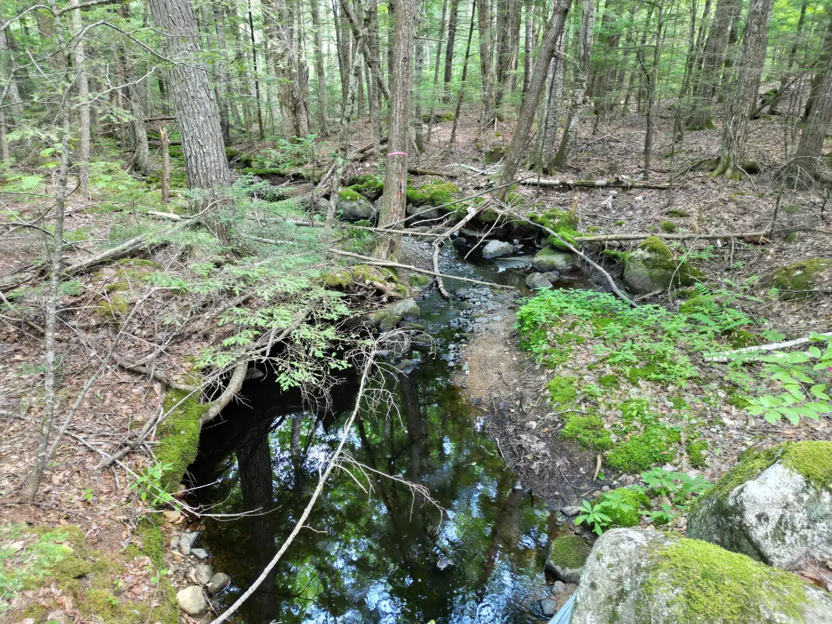 Lot 18-2 Madagascal Pond Road, Burlington, ME 04417 - #1