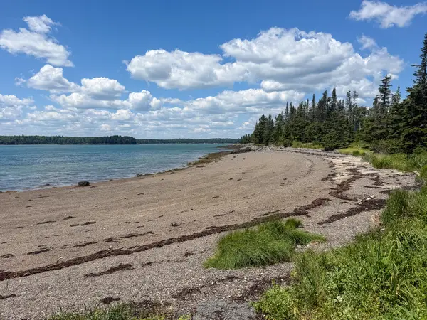 Lot 80 Yoho Head Road, Machiasport, ME 04655