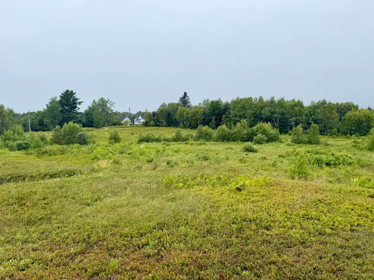 Lot 35 Guzzle Road, Gouldsboro, ME 04607 - #1