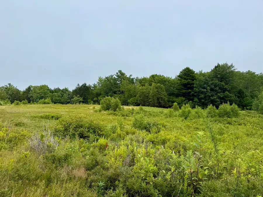 Lot 35 Guzzle Road, Gouldsboro, ME 04607 - #2