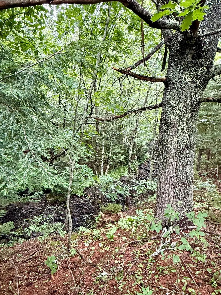 Lot 35 Guzzle Road, Gouldsboro, ME 04607 - #3