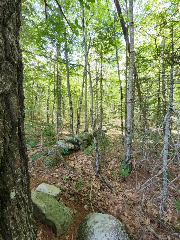 TBD Bridgton Road, Sebago, ME 04029