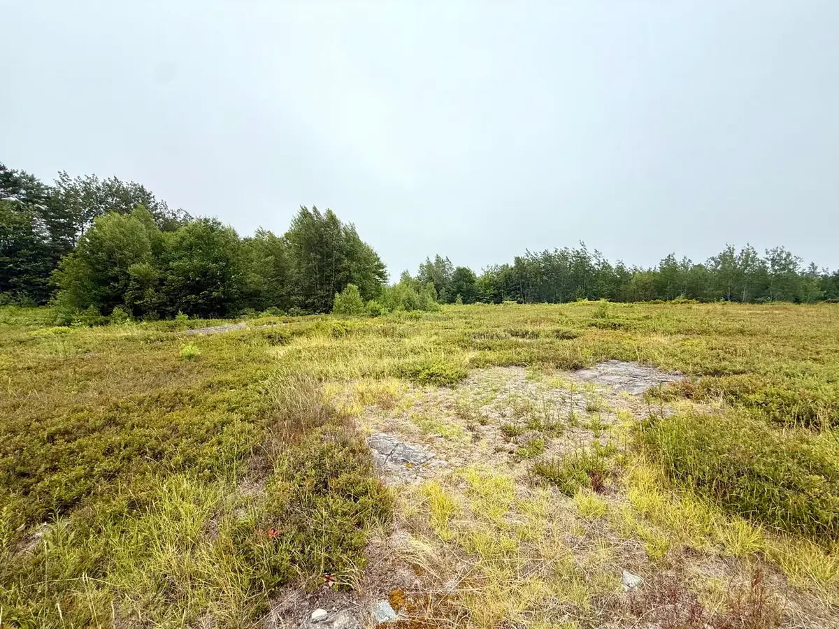 Lot 12A Us-1, Gouldsboro, ME 04607 - #1