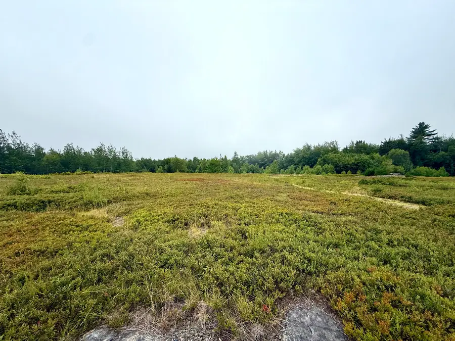 Lot 12A Us-1, Gouldsboro, ME 04607 - #2