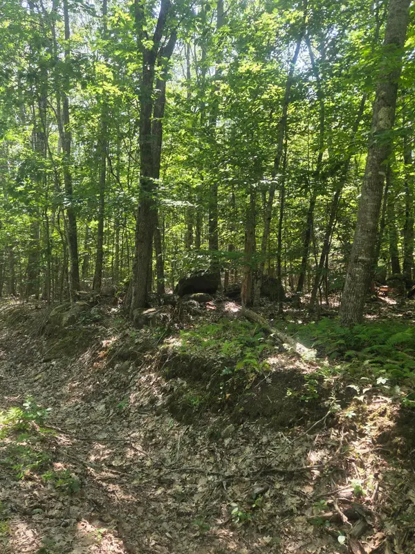 74 Lovejoy Shores Drive, Fayette, ME 04349