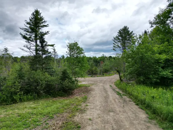 Lot 16 Route 1, Brookton Twp, ME 04413