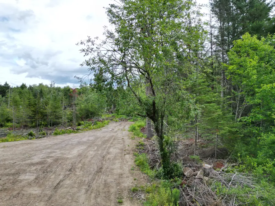 Lot 16 Route 1, Brookton, ME 04413 - #3