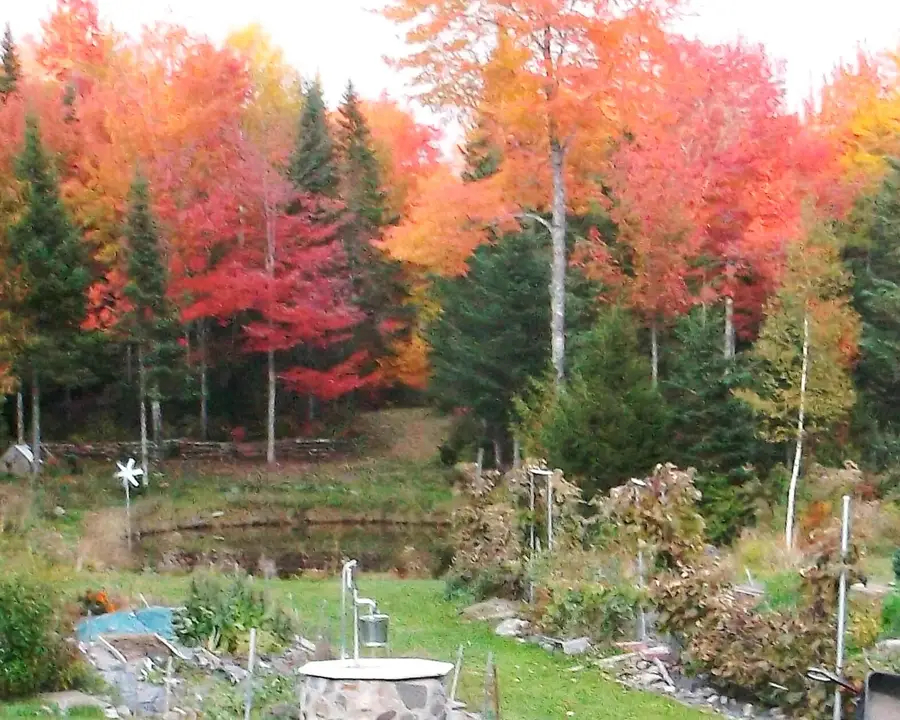 3373 Mariaville Road, Mariaville, ME 04605 - #3