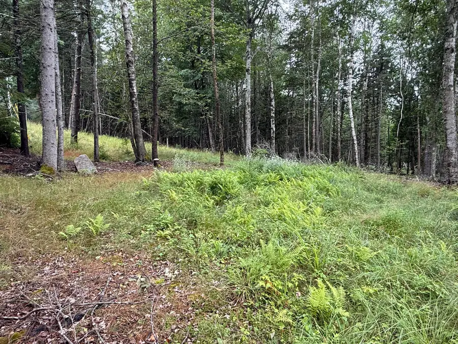 1236 Meadow Pond Road, Islesboro, ME 04848 - #2