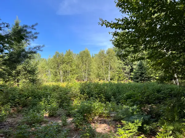 lot 6 & 8 Franklin Realty Road, Haynesville, ME 04497