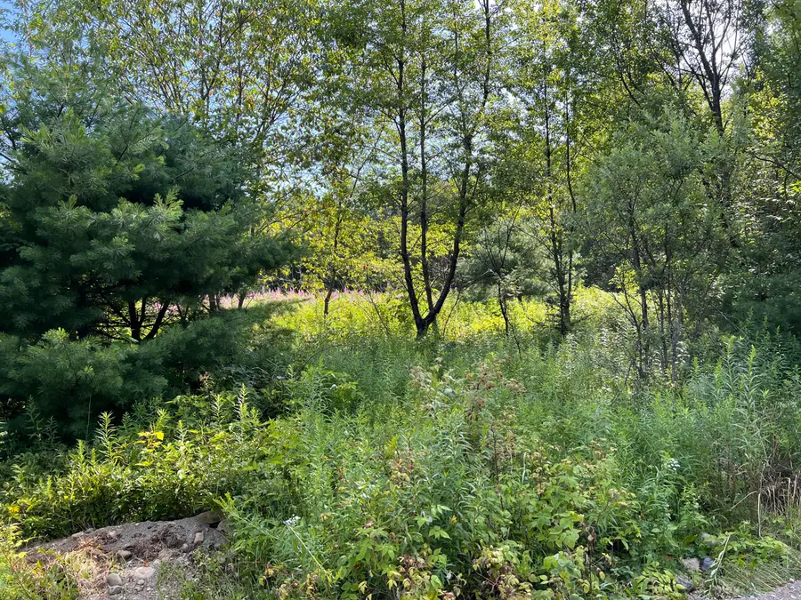 lot 6 & 8 Franklin Realty Road, Haynesville, ME 04497 - #3