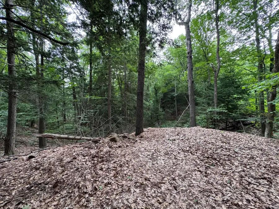 Lot # 18-1 Sanborn Street, Gorham, ME 04038 - #3
