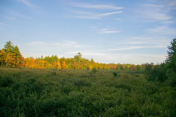 TBD New Dam Road, Waterboro, ME 04061