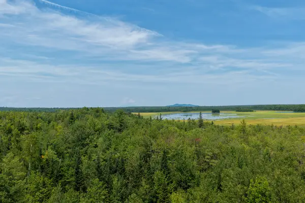 194 Seboeis Road, Howland, ME 04448