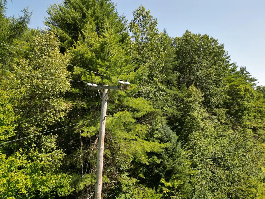 Lot 13-1 Clark Road, Prospect, ME 04981 - #3