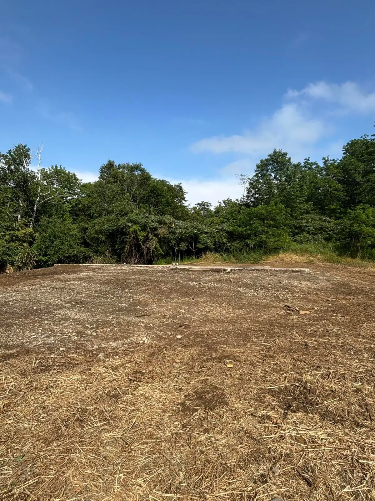 883 River Road, Bucksport, ME 04416 - #1