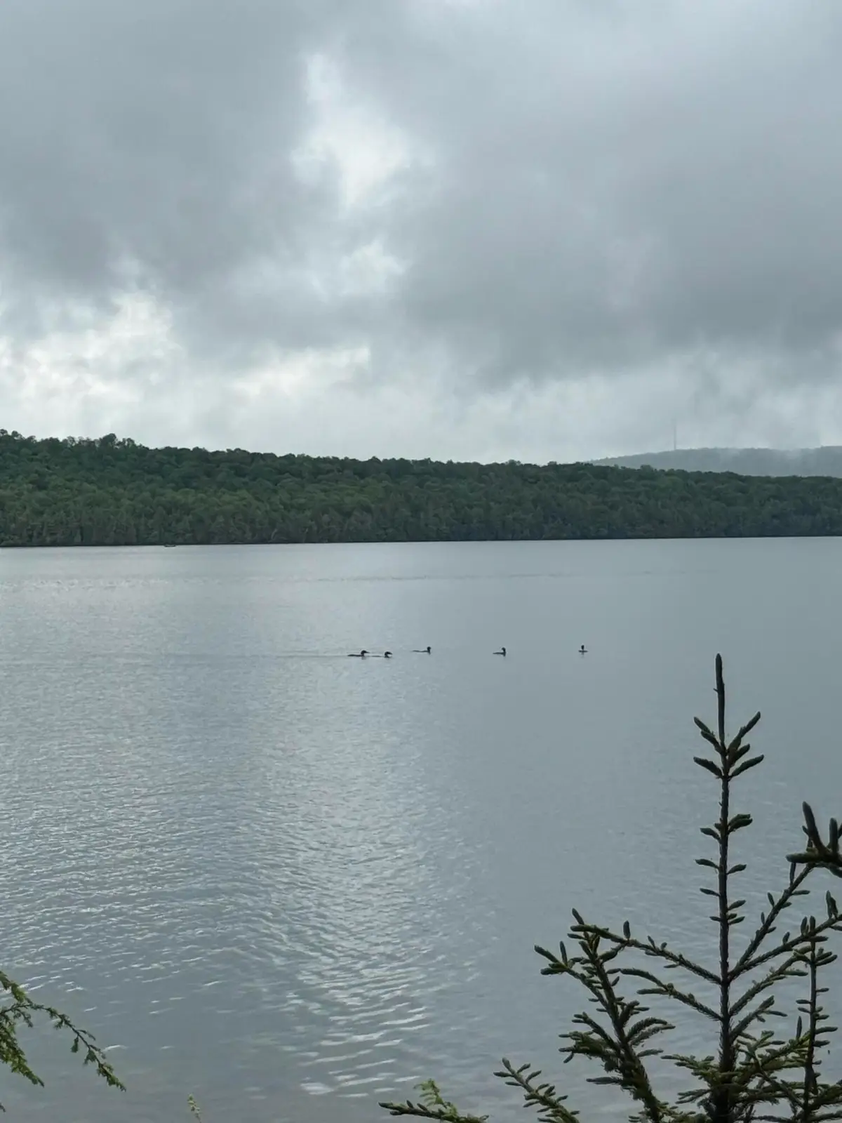 416 S Shore Road, Island Falls, ME 04747 - #1